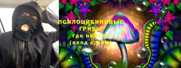 тгк Бронницы